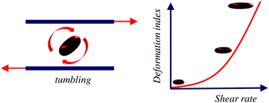 Graphical abstract: A constitutive hemorheological model addressing the deformability of red blood cells in Ringer solutions