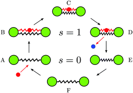 Graphical abstract: Mechanochemical enzymes and protein machines as hydrodynamic force dipoles: the active dimer model