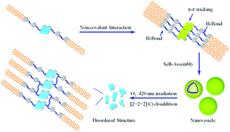 Graphical abstract: Self-assembly of an alkynylpyrene derivative for multi-responsive fluorescence behavior and photoswitching performance