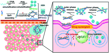 Graphical abstract: PLGA nanoparticle-reinforced supramolecular peptide hydrogels for local delivery of multiple drugs with enhanced synergism