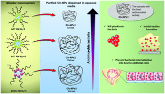 Graphical abstract: A comparative study of antimicrobial activity of differently-synthesized chitosan nanoparticles against bovine mastitis pathogens