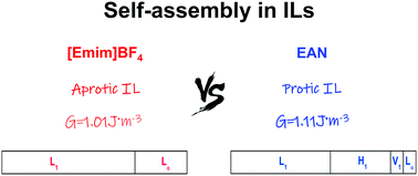 Graphical abstract: The self-assembly of an imidazolium surfactant in an aprotic ionic liquid. 1. Comparison in aprotic and protic ionic liquids