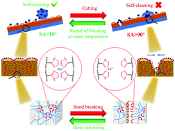 Graphical abstract: Recovery of the self-cleaning property of silicon elastomers utilizing the concept of reversible coordination bonds