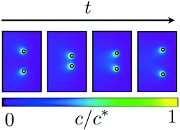 Graphical abstract: Alignment and scattering of colliding active droplets