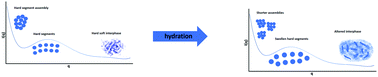 Graphical abstract: Hydration influences on the phase heterogeneity of segmented copolymers