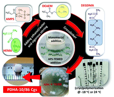 Graphical abstract: Charge-balanced terpolymer poly(diethylaminoethyl methacrylate-hydroxyethyl methacrylate-2-acrylamido-2-methyl-propanesulfonic acid) hydrogels and cryogels: scaling parameters and correlation with composition