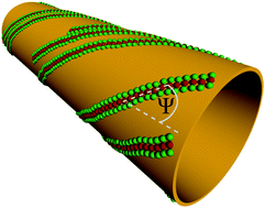 Graphical abstract: Chiral-filament self-assembly on curved manifolds