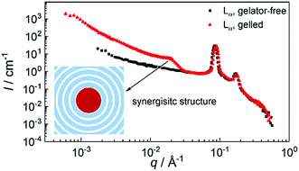 Graphical abstract: Synergistic structures in lyotropic lamellar gels