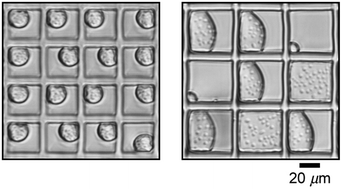 Graphical abstract: Viscous liquid–liquid wetting and dewetting of textured surfaces