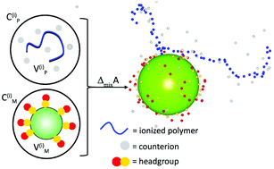 Graphical abstract: On the distribution of hydrophilic polyelectrolytes and their counterions around zwitterionic micelles: the possible impact on the charge density in solution