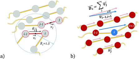 Graphical abstract: Crystallization of semiflexible polymers in melts and solutions