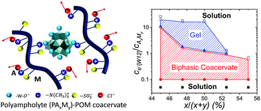 Graphical abstract: Effect of polyampholyte net charge on complex coacervation between polyampholytes and inorganic polyoxometalate giant anions
