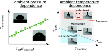 Graphical abstract: How ambient conditions affect the Leidenfrost temperature