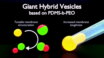 Graphical abstract: Membrane reinforcement in giant hybrid polymer lipid vesicles achieved by controlling the polymer architecture