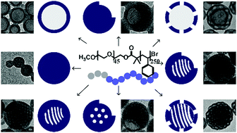 Graphical abstract: Kinetic state diagrams for a highly asymmetric block copolymer assembled in solution