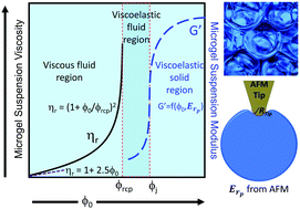 Graphical abstract: Viscoelasticity of non-colloidal hydrogel particle suspensions at the liquid–solid transition