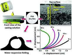 Graphical abstract: Engineering polymer film porosity for solvent triggered actuation