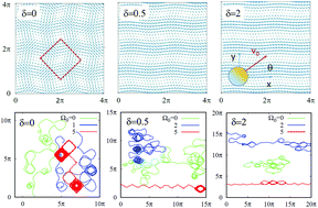 Graphical abstract: Diffusion of active particles in convective flows