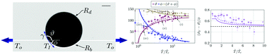 Graphical abstract: Wetting and wrapping of a floating droplet by a thin elastic filament