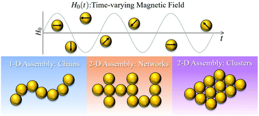 Graphical abstract: Hierarchical assemblies of superparamagnetic colloids in time-varying magnetic fields
