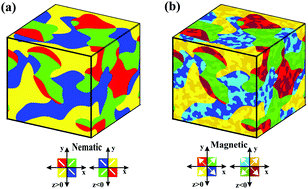 Graphical abstract: Domain growth in ferronematics: slaved coarsening, emergent morphologies and growth laws