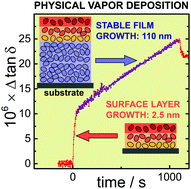 Graphical abstract: In situ observation of fast surface dynamics during the vapor-deposition of a stable organic glass