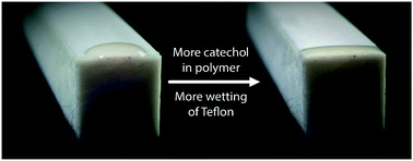 Graphical abstract: Changing polymer catechol content to generate adhesives for high versus low energy surfaces