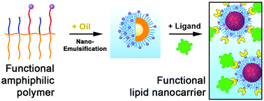 Graphical abstract: Tunable functionalization of nano-emulsions using amphiphilic polymers