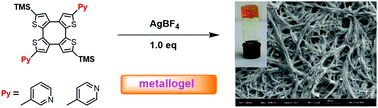 Graphical abstract: Ag-Induced metallogel based on cyclooctatetrathiophene: structural characterization and stimuli-responsive properties