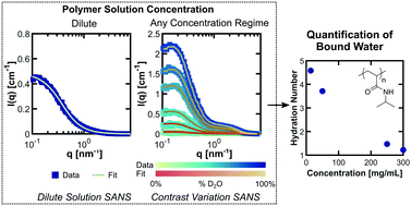 Graphical abstract: SANS quantification of bound water in water-soluble polymers across multiple concentration regimes