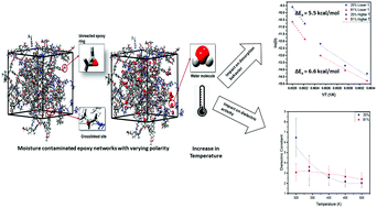 Graphical abstract: Exploring secondary interactions and the role of temperature in moisture-contaminated polymer networks through molecular simulations