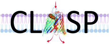 Graphical abstract: Development of the computational antibiotic screening platform (CLASP) to aid in the discovery of new antibiotics