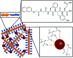 Graphical abstract: Magneto-responsive hydrogels by self-assembly of low molecular weight peptides and crosslinking with iron oxide nanoparticles