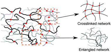 Graphical abstract: A generalized tube model of rubber elasticity