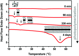 Graphical abstract: Long PEO-based nanoribbons generated in a polystyrene matrix through reaction-induced microphase separation followed by a fast crystallization process