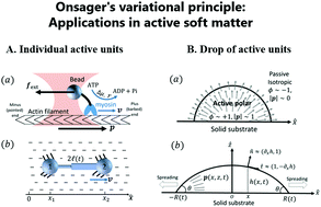 Graphical abstract: Onsager's variational principle in active soft matter