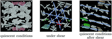 Graphical abstract: Shear-induced glass-to-crystal transition in anisotropic clay-like suspensions