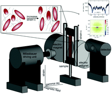 Graphical abstract: Strain- and field-induced anisotropy in hybrid elastomers with elongated filler nanoparticles