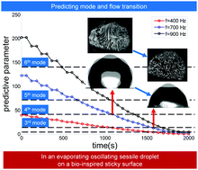 Graphical abstract: Evaporation-induced alterations in oscillation and flow characteristics of a sessile droplet on a rose-mimetic surface