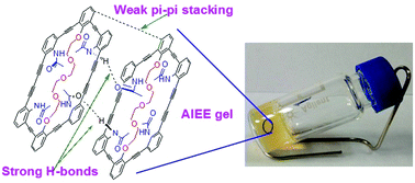 Graphical abstract: A shape-persistent arylene ethynylene macrocycle with a multiple acetamide modified cavity: synthesis and gelation