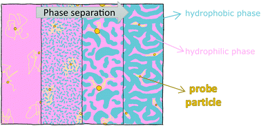 Graphical abstract: Dynamical heterogeneity in the gelation process of a polymer solution with a lower critical solution temperature