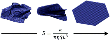 Graphical abstract: Buckling, crumpling, and tumbling of semiflexible sheets in simple shear flow