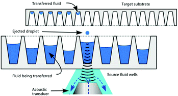Graphical abstract: A review on acoustic droplet ejection technology and system