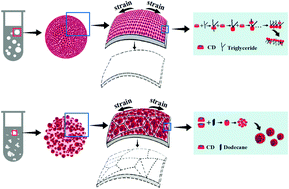 Graphical abstract: Stress buffering in cyclodextrin-based membranes coated on emulsion droplet surfaces