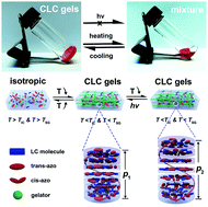 Graphical abstract: Light regulation and long-lived stability of RGB colors in cholesteric liquid crystal physical gels via a mixing strategy