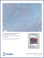 Graphical abstract: Back cover