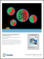 Graphical abstract: Inside back cover