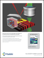 Graphical abstract: Back cover