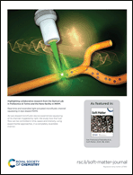 Graphical abstract: Back cover