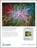 Graphical abstract: Back cover